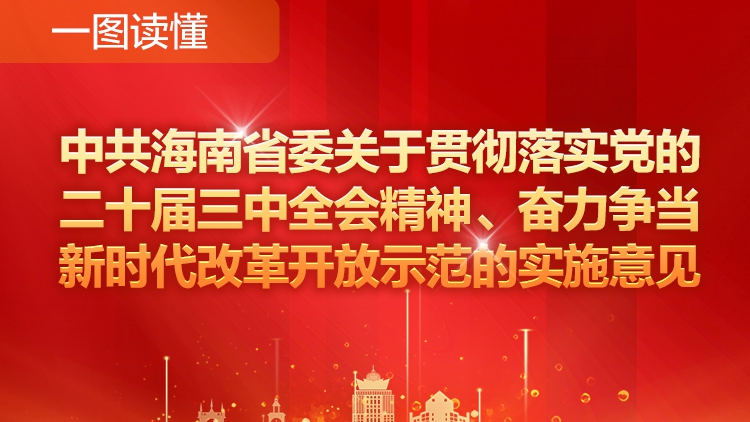 一图读懂《中共海南省委关于贯彻落实党的二十届三中全会精神、奋力争当新时代改革开放示范的实施意见》