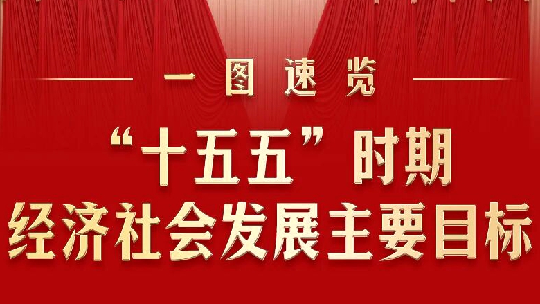 “十五五”主要目标！